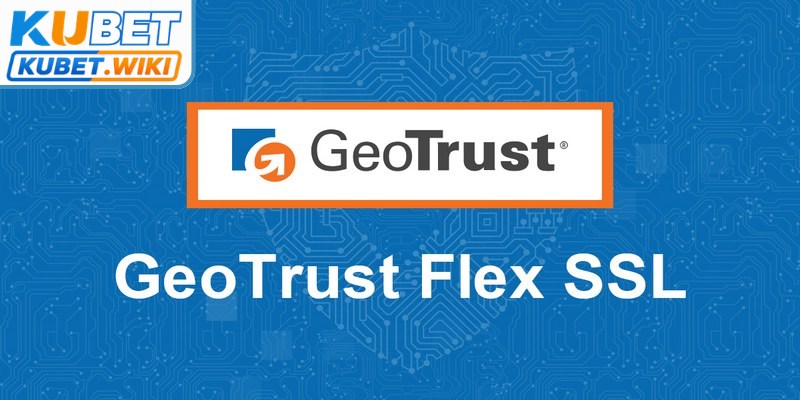 GEOTRUST cực kỳ nổi tiếng như một trong những đơn vị dẫn đầu