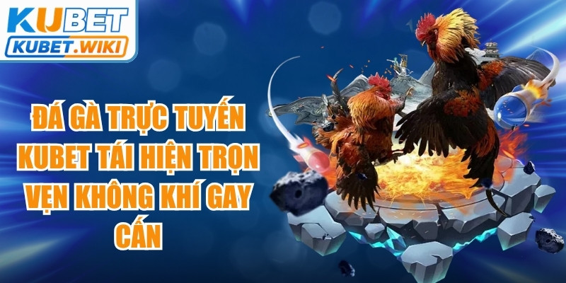 Đá gà trực tuyến Kubet tái hiện trọn vẹn không khí gay cấn